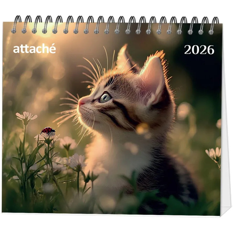 Календарь-домик настольный 2026 Atache, Котенок, 120х110