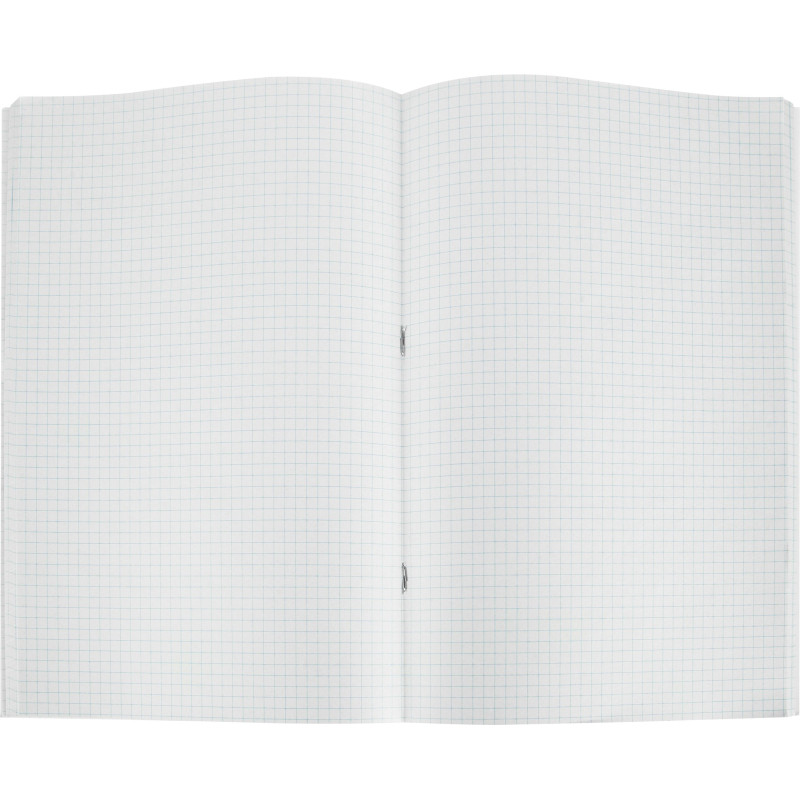 Книга учета Выбор есть А4 96л клетка блок типограф обл. картон