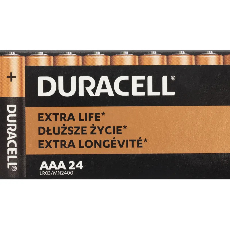 Батарейка DURACELL Basic MN2400 LR03 AAA BL24 24шт/уп