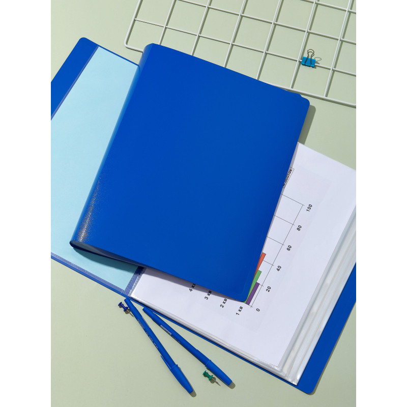 Папка файловая на100 файлов Attache Economy Элементари А4 800мкм син