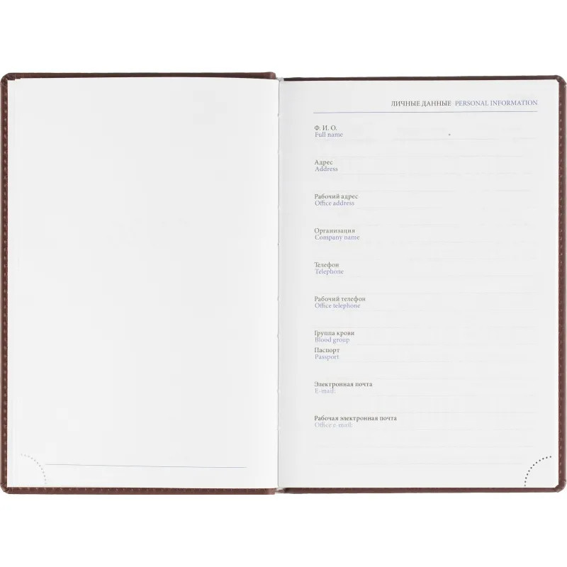 Ежедневник датированный 2026, бордо,А5, 148х218 мм,352 стр,АТТАСНЕ Вива