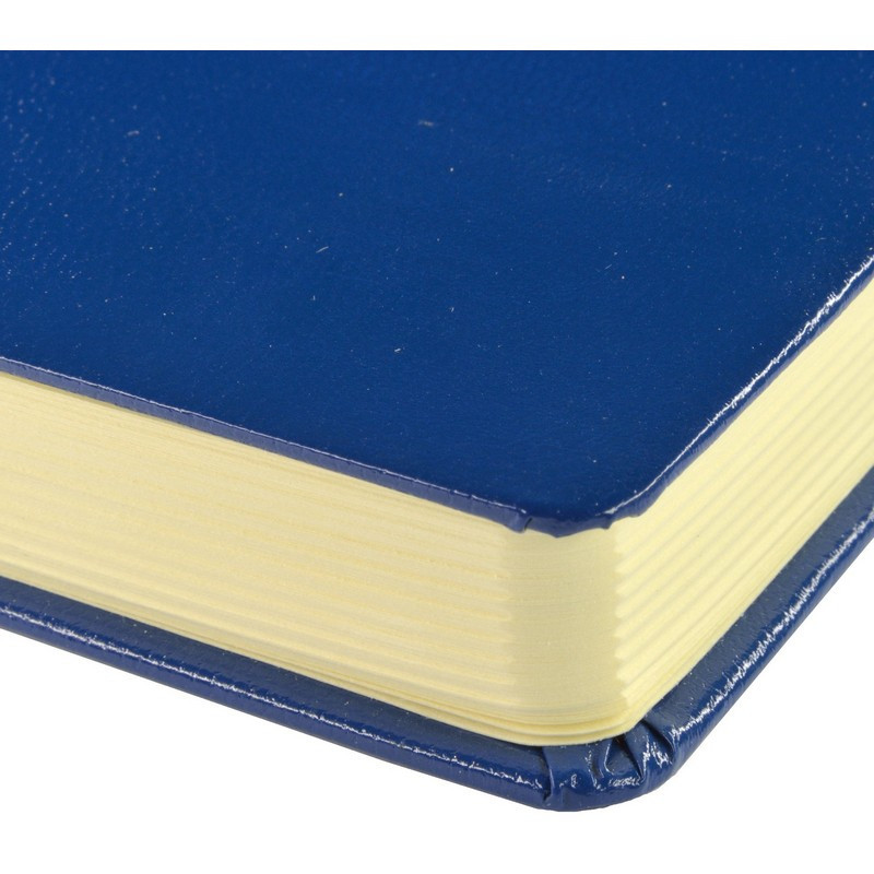 Ежедневник недатированный синий, MEGAPOLIS А5, 142х214мм,320стр.3-281/01