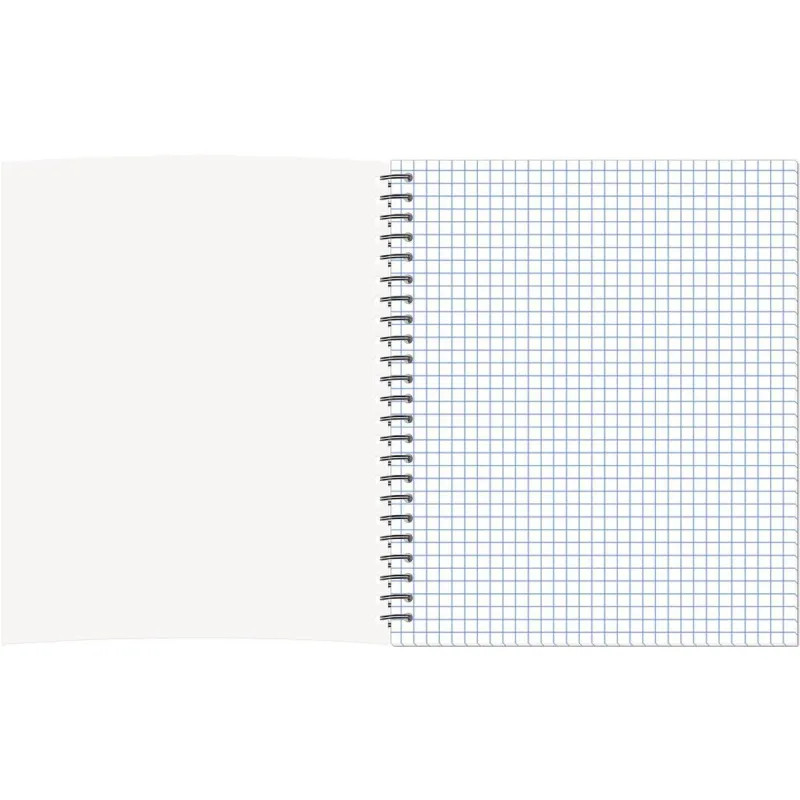 Бизнес-тетрадь Принты А5 96л, клетка, обл. мел. картон, спираль,Птицы