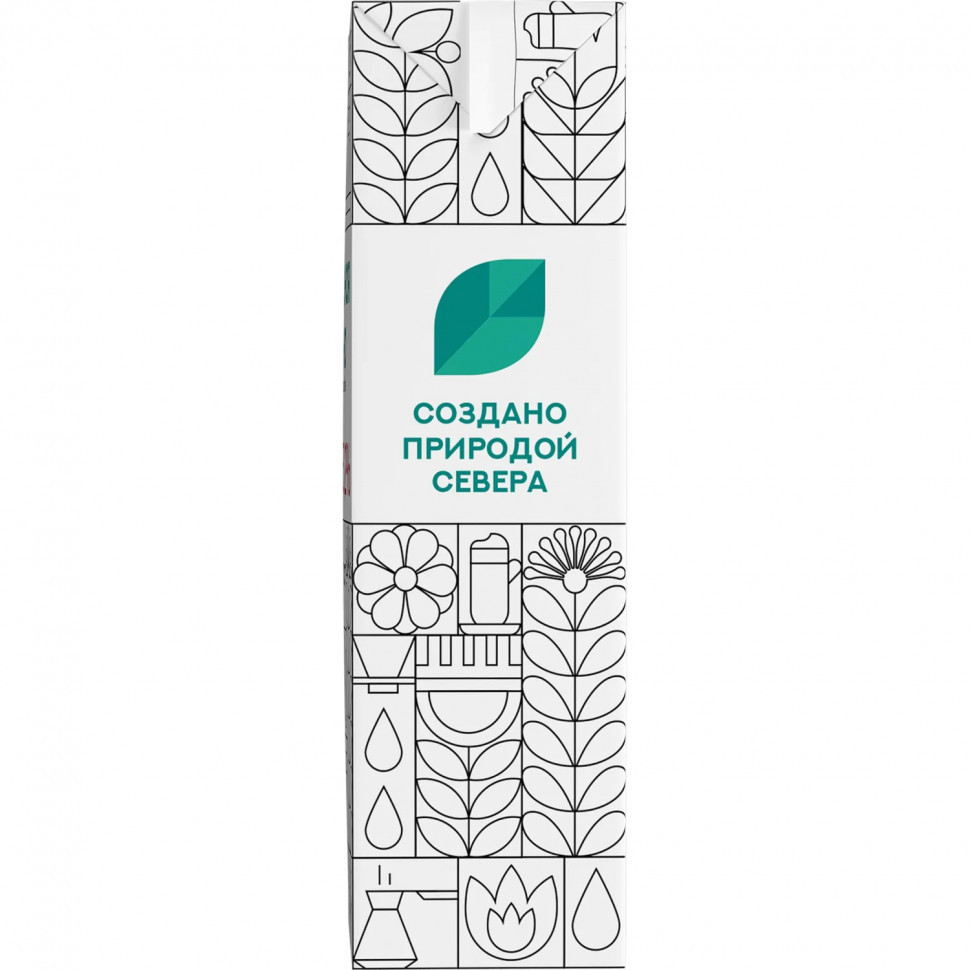 Молоко Северная Долина (Prof) ультрапастериз 3,2% 1л