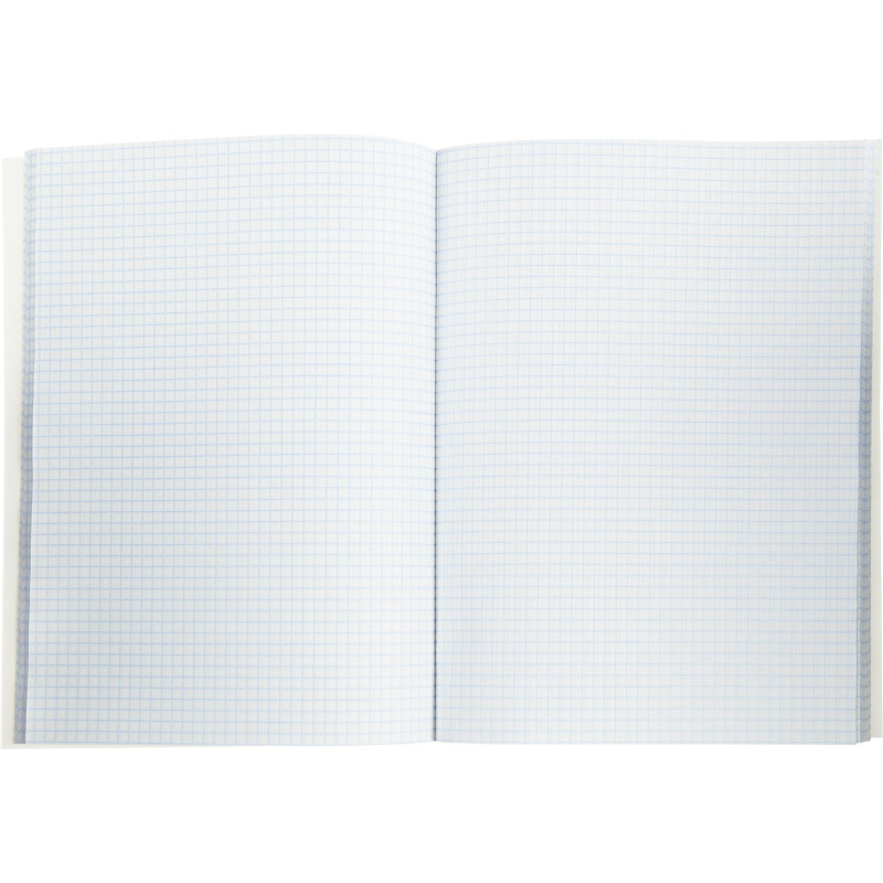 Книга учета А4 96л.клетка. картон. обл. белая Книга учета А4 96л.клетка. картон. обл. белая