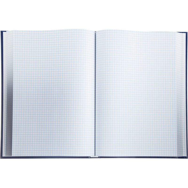 Книга учета -160л. в клетку офсет, обл. бумвинил