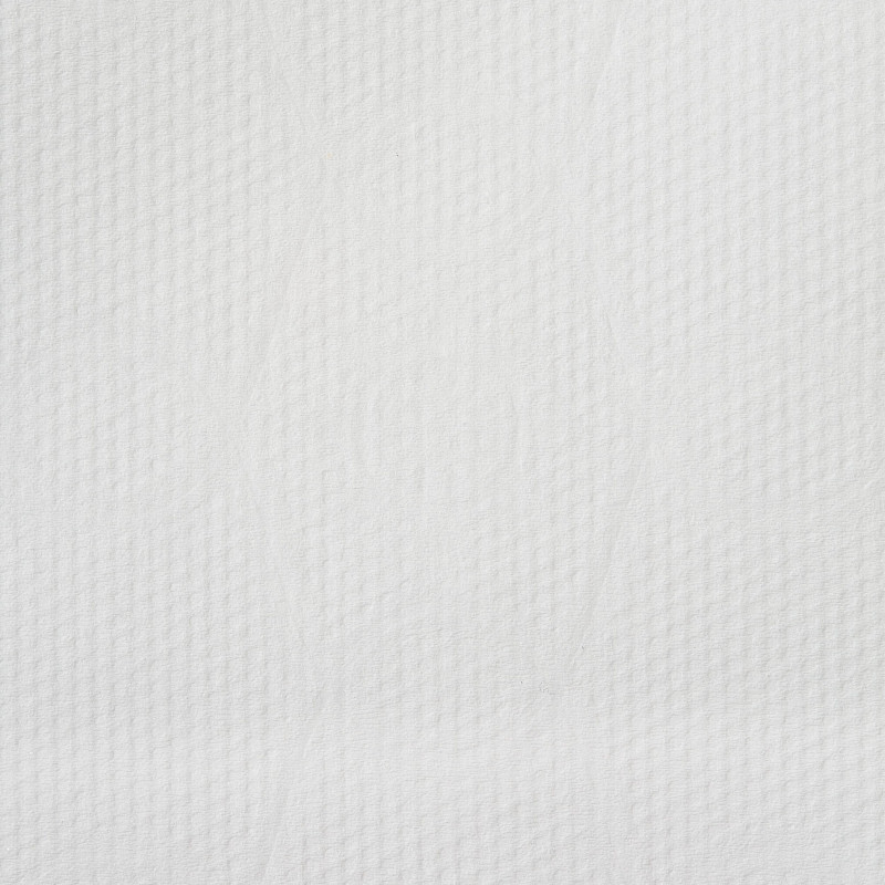 Полотенца бумажные д/дисп. Luscan Professional 2сл143м 6рул/уп