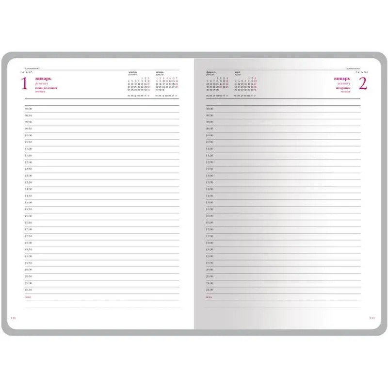 Ежедневник датированный 2026 А5+ SIDNEY NEBRASKA черный, зол обрез 3-125/02