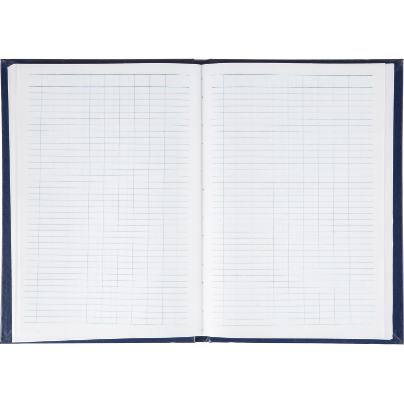 Книга учета _144л. пустографка, обл. бумвинил Книга учета _144л. пустографка, обл. бумвинил