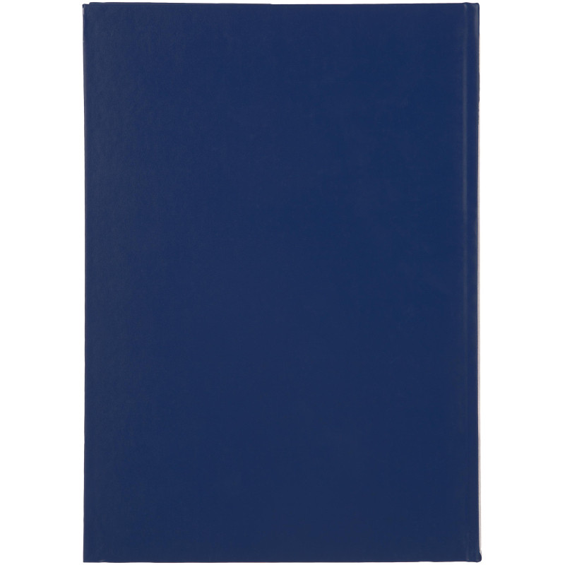 Книга учета _144л. пустографка, обл. бумвинил Книга учета _144л. пустографка, обл. бумвинил