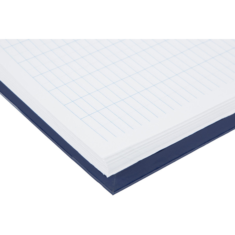 Книга учета _144л. пустографка, обл. бумвинил Книга учета _144л. пустографка, обл. бумвинил