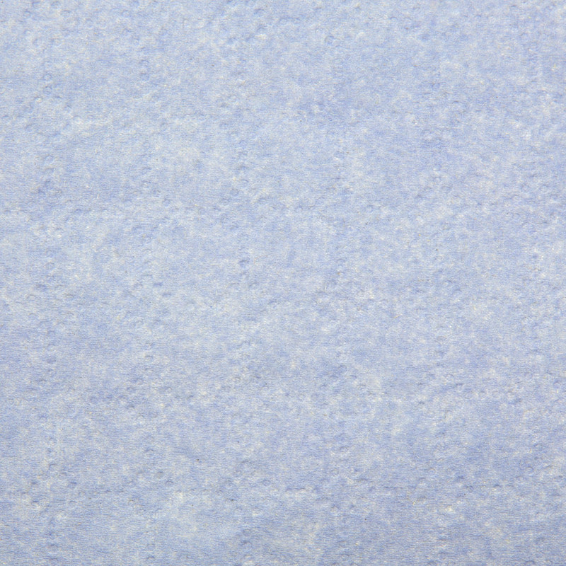 Бумага протирочная Luscan Prof 2сл 1000лx1рул/уп 360м голубая