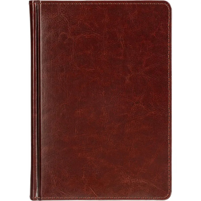 Ежедневник датированный 2026 А5+ SIDNEY NEBRASKA кор, зол обрез 3-125/03