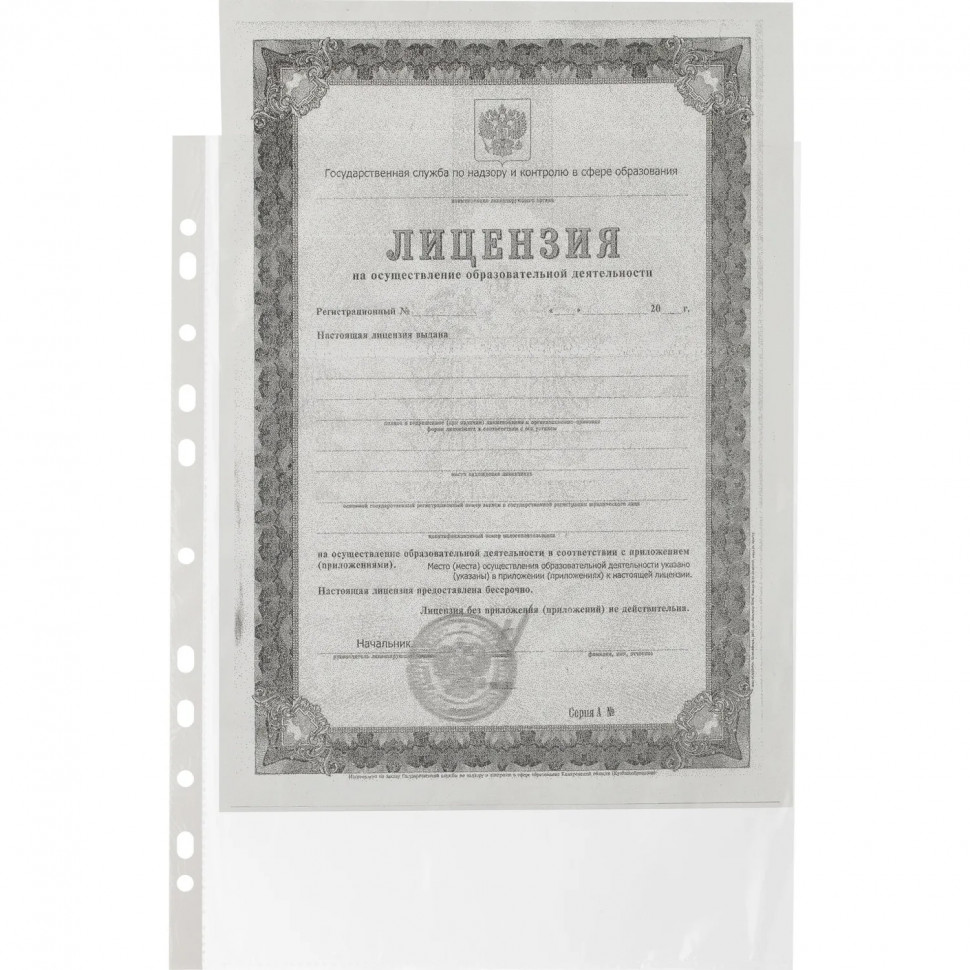 Файл-вкладыш А4 22-25мкм Выбор есть, гладкие, с перф, 100шт./уп