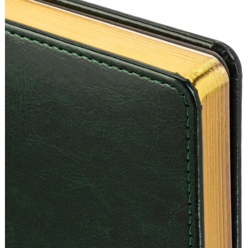 Ежедневник датированный 2026 А5+ SIDNEY NEBRASKA зелен, зол обрез 3-125/05