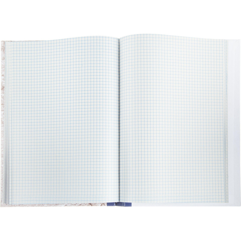 Книга учета 128л. в клетку типограф., обл.тв.картон Книга учета 128л. в клетку типограф., обл.тв.картон