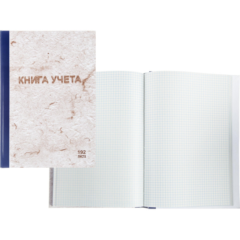 Книга учета 192л. в клетку типограф., обл.тв.картон Книга учета 192л. в клетку типограф., обл.тв.картон