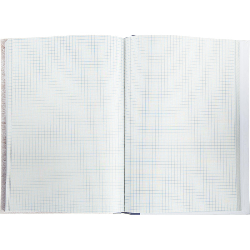 Книга учета 192л. в клетку типограф., обл.тв.картон Книга учета 192л. в клетку типограф., обл.тв.картон