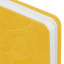 Ежедневник датированный 2024 А5 138x213 мм, BRAUBERG "Foliage", под кожу, желтый, 114922