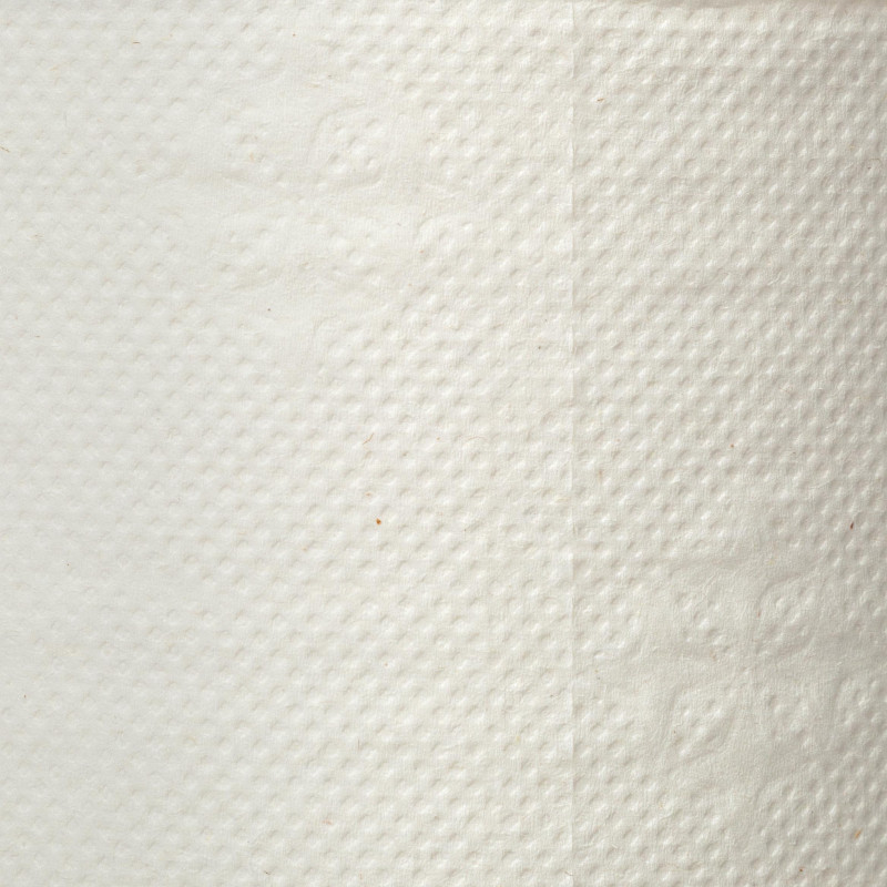 Бумага туалетная д/дисп Luscan Professional 1сл бел цел втул 200м 12рул/уп