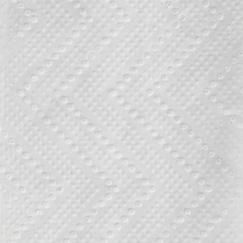 Полотенца бумажные д/дисп. Luscan Professional Zсл1слвт190л21пач/уп