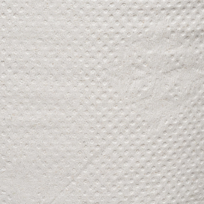 Бумага туалетная д/дисп 1сл сер втор 200ф 12рул/уп 0024А