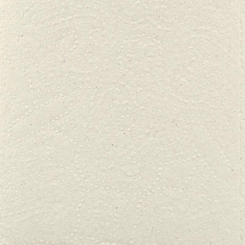 Полотенца бумажные д/дисп. Luscan Professional Vсл1слвт200л20пач/уп