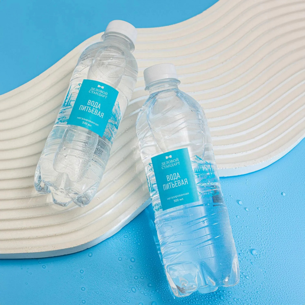 Вода питьевая Деловой Стандарт негаз ПЭТ 0,5л СПб (U)