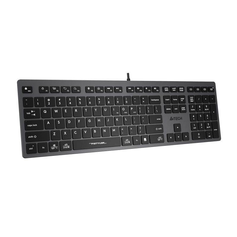 Клавиатура A4Tech Fstyler (FX50 GREY) серый USB slim Multimedia