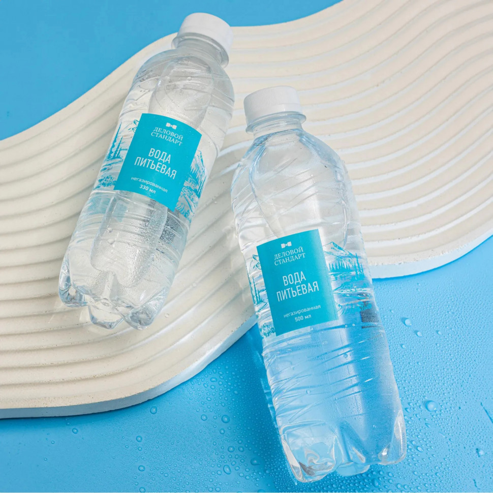 Вода питьевая Деловой Стандарт негаз ПЭТ 0,33л СПб (U)