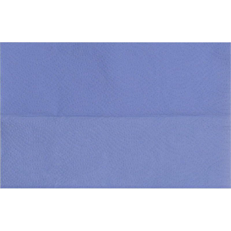 Бумага протирочная лист Luscan Professional Optima 2сл Zсл 200л/уп голубая