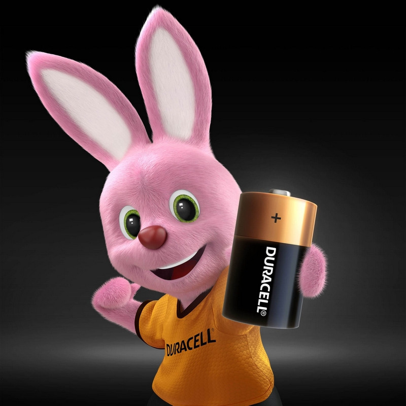 Батарейка DURACELL BASIC D/LR20-2BL Батарейка DURACELL BASIC D/LR20-2BL