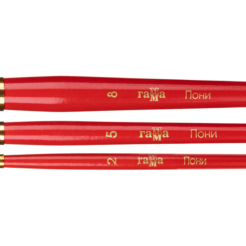 Набор кистей Гамма Пони,3 шт. 2,5,8 блистер, 280618.09.03