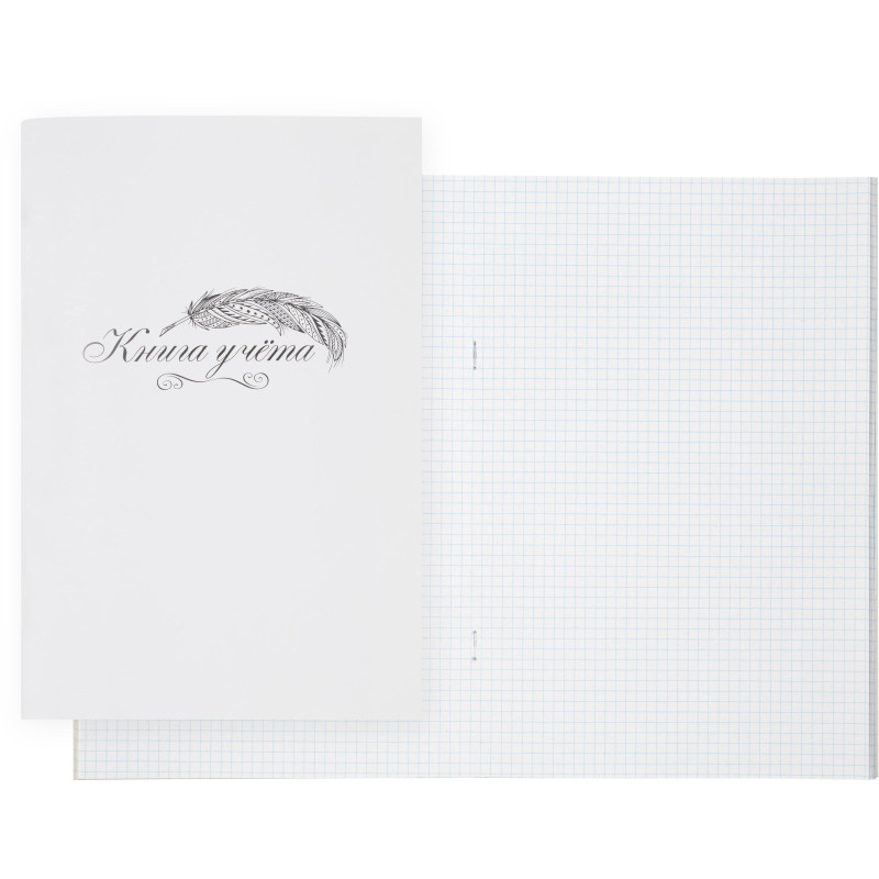 Книга учета Выбор есть А4 48л клетка блок типограф обл. картон Книга учета Выбор есть А4 48л клетка блок типограф обл. картон