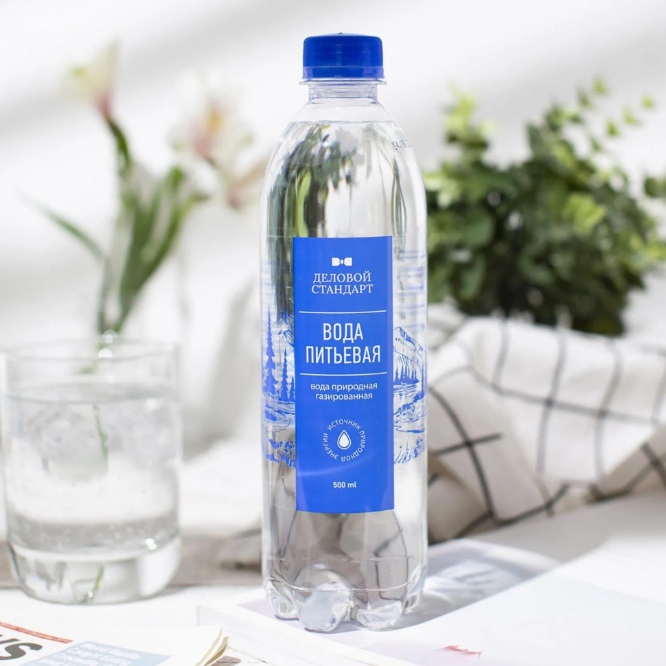 Вода питьевая Деловой Стандарт газ ПЭТ 0,5л СПб (U)