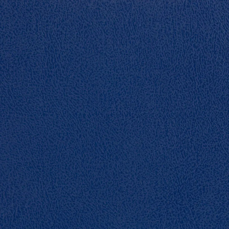 Ежедневник датированный 2026 Выбор есть, А5, 160л, бумвинил, синий