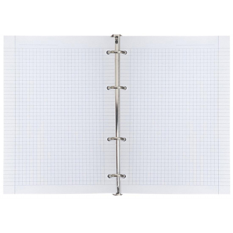 Тетрадь общая А5 120л.клет,кольца,обл.пластик,Infolio Study,Camomiles,N3396