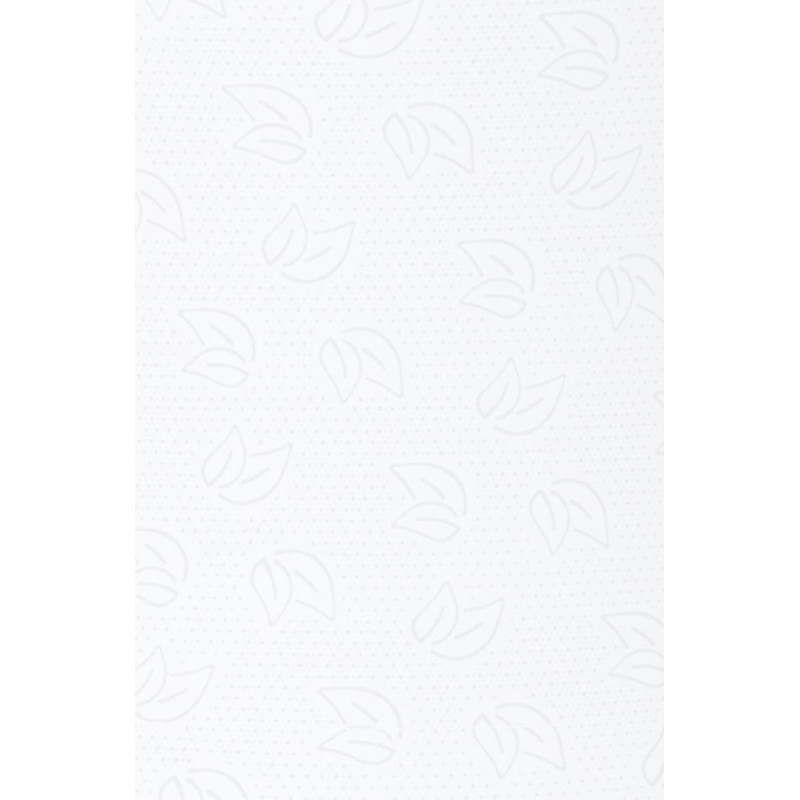 Бумага протирочная Protissue 1000л/рул 350м С241 2рул/уп