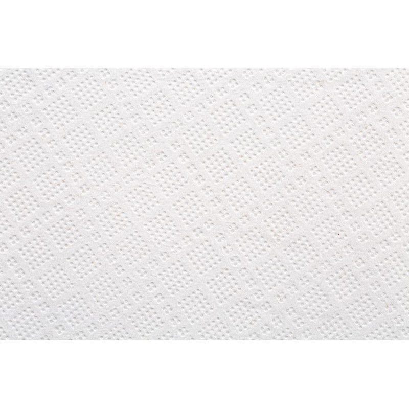 Полотенца бумажные д/держ.FOCUS Jumbo с ЦВ 2сл.125м 6рул 5036772