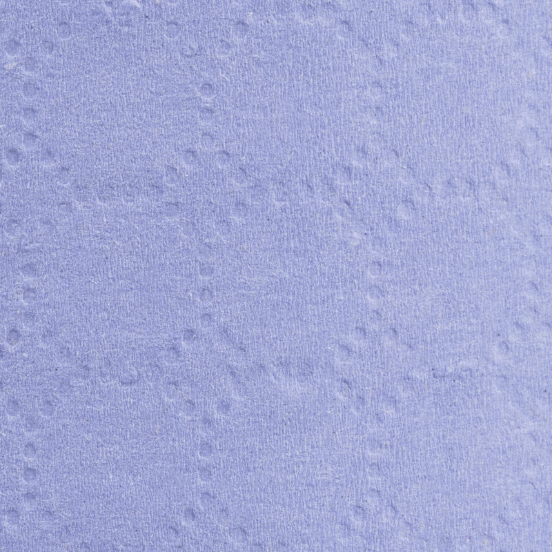 Бумага протирочная Luscan Prof 2сл 500лx1рул/уп 130м голубая