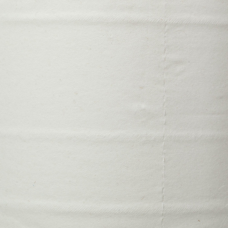 Бумага туалетная д/дисп Luscan Professional с ЦВ 2сл бел цел 215м 6 рул/уп