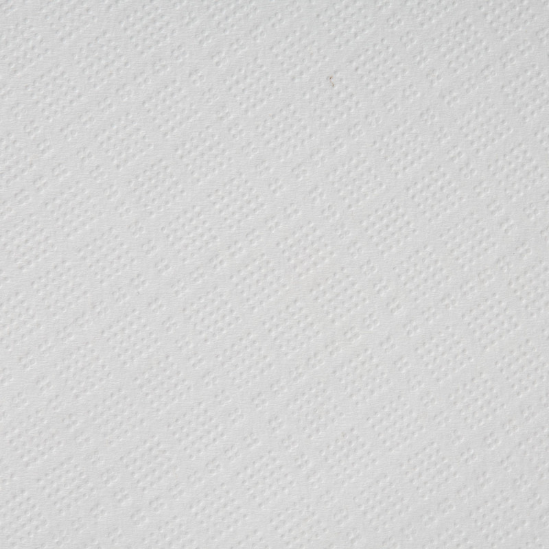 Полотенца бумажные д/дисп. FOCUS Extra Quick 2сл 150м 6рул/уп цел 5046577