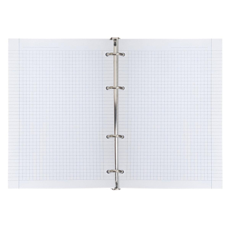 Тетрадь со сменным блоком А5,120л,Infolio Study,Country,иск.кож,N3802