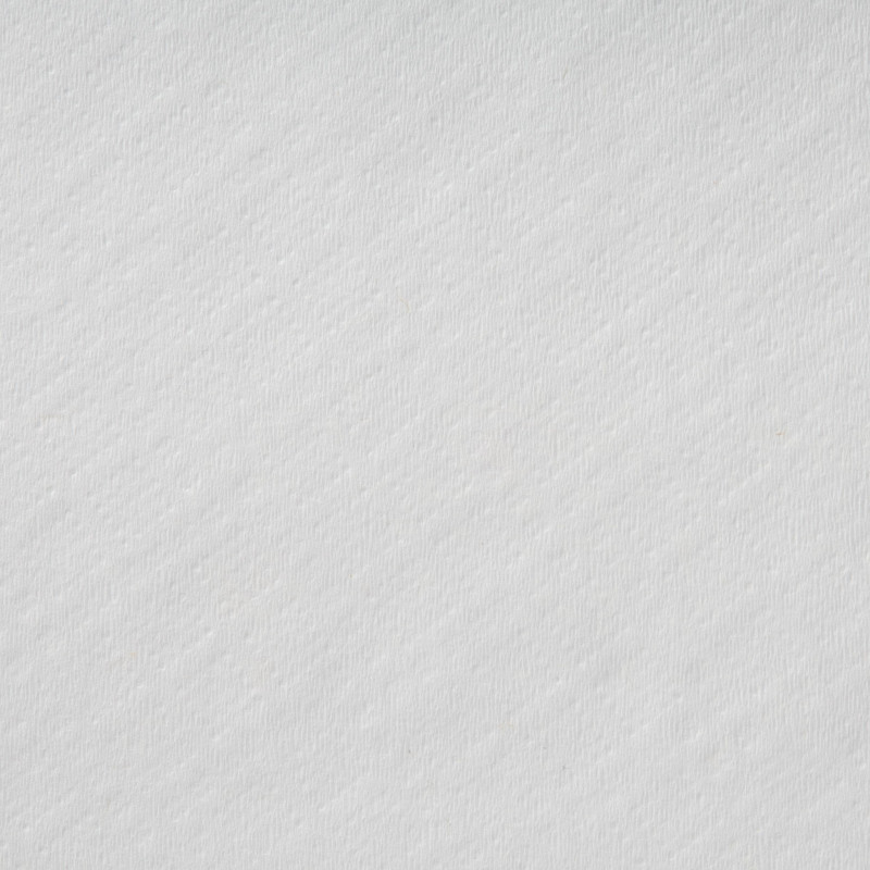 Полотенца бумажные д/дисп. FOCUS Extra Quick 1сл 200м 6рул/уп цел 5043330