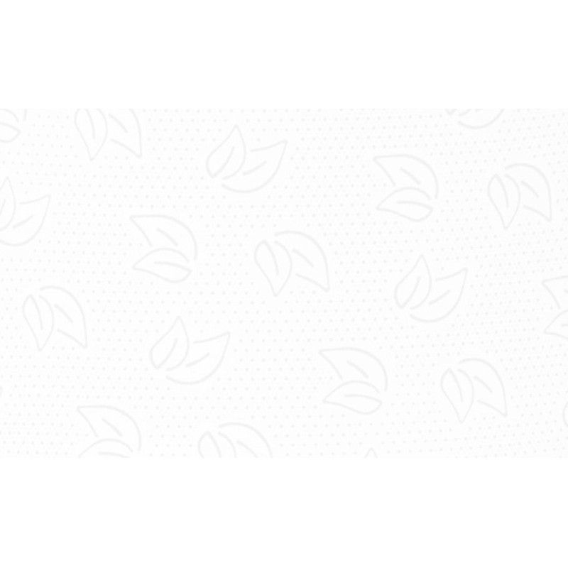 Бумага туалетная д/дисп Protissue 2сл бел цел 170м 12рул/уп С191