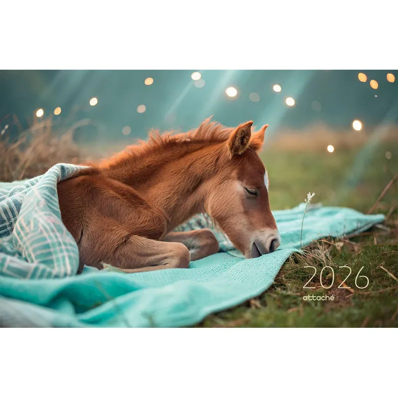 Календарь настенный 3-х блочный 2026 Attache, Трио станд, 305х675,Жеребенок