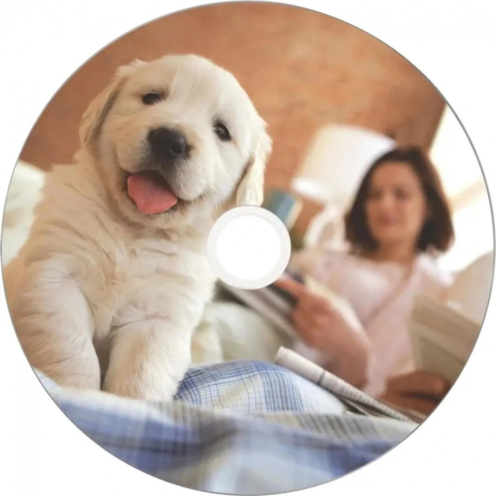 Носители информации DVD-R Verbatim 4.7Gb 16x Cake 50шт/уп Printable (43755) Носители информации DVD-R Verbatim 4.7Gb 16x Cake 50шт/уп Printable (43755)