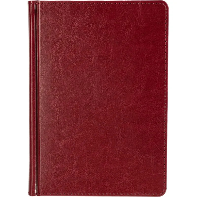 Ежедневник датированный 2026 А5+ SIDNEY NEBRASKA борд, золот обрез 3-125/01