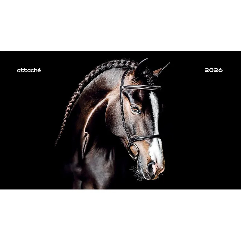 Календарь настенный 3-х блочный 2026 Attache,Супер-Прем+блок,Лошадь,440х835
