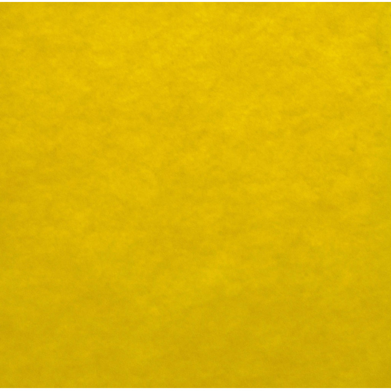 Салфетка хозяйственная Master FRESH ЭКОНОМ вискоза 3 шт/уп